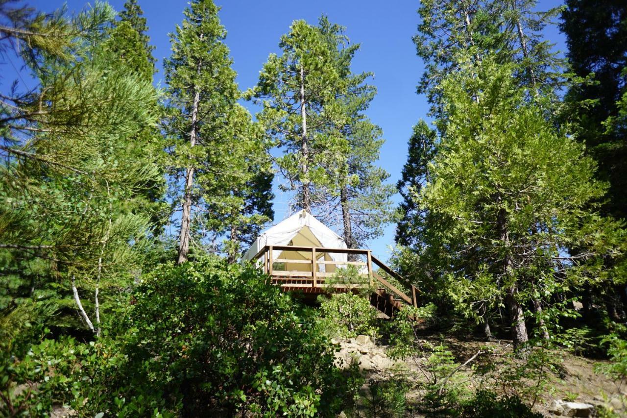 Shaver Lake Village Hotel Exteriör bild